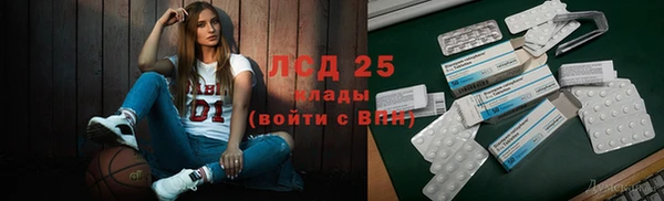 хмурый Алзамай