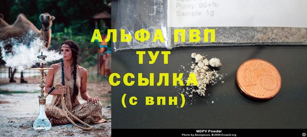 хмурый Алзамай